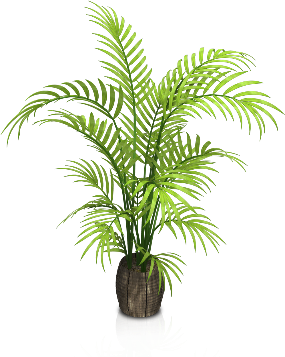 Vibrant Green Potted Palm Plant PNG