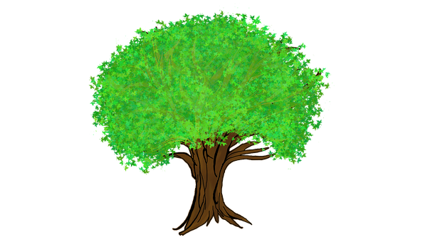 Vibrant Green Tree Illustration PNG