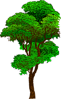 Vibrant Green Tree Illustration PNG