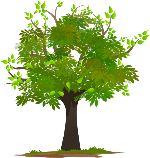 Vibrant Green Tree Illustration PNG