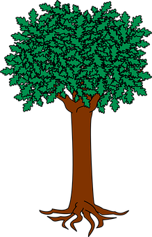 Vibrant Green Tree Illustration PNG