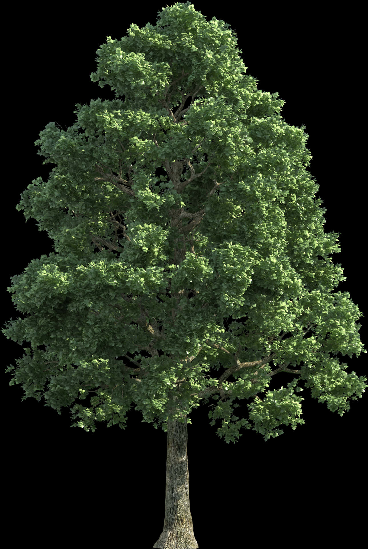 Vibrant Green Treeon Black Background PNG