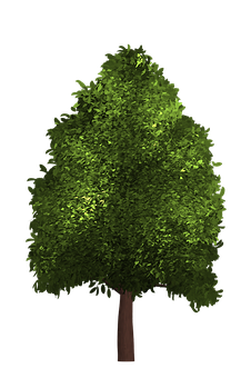 Vibrant Green Treeon Black Background PNG