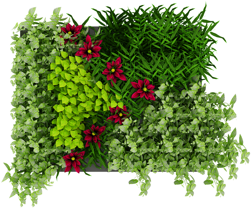 Vibrant Greeneryand Flowers Texture PNG