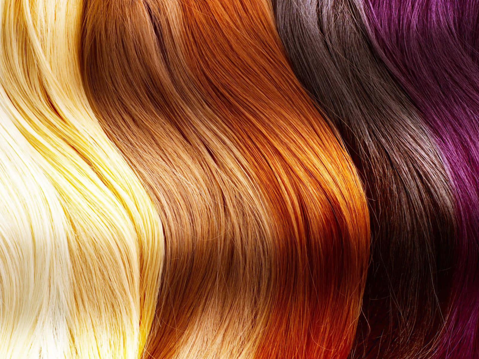 Vibrant_ Hair_ Color_ Spectrum Wallpaper