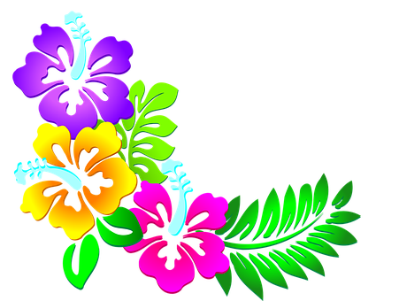 Vibrant_ Hawaiian_ Flower_ Artwork PNG