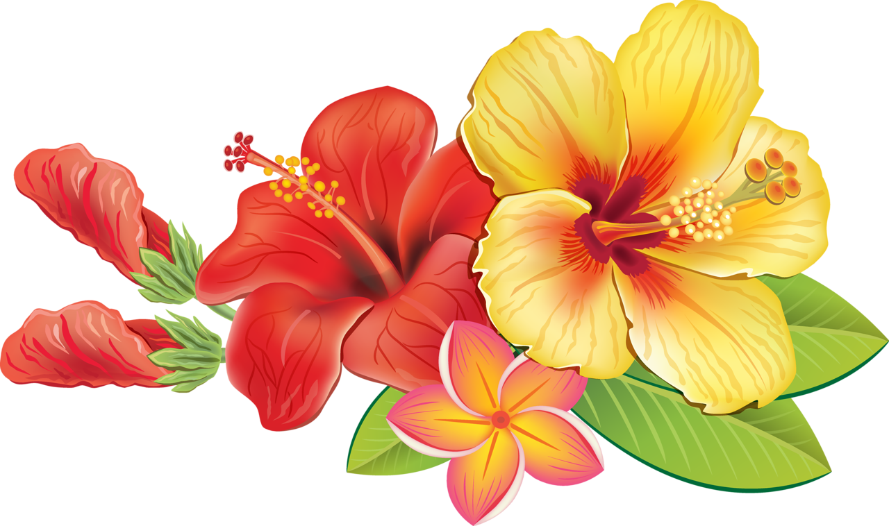 Vibrant Hawaiian Flowers Illustration PNG