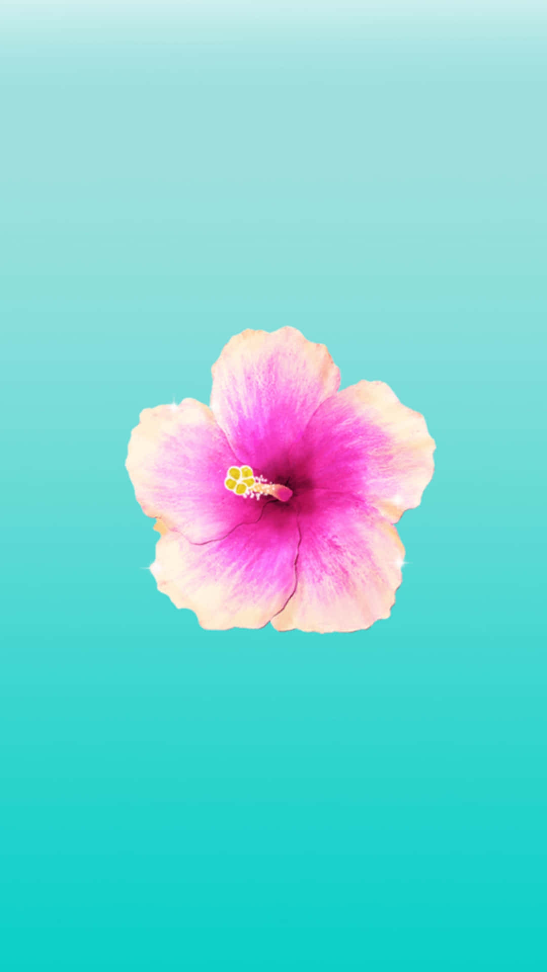 Vibrant Hibiscus Aqua Backdrop.jpg Wallpaper