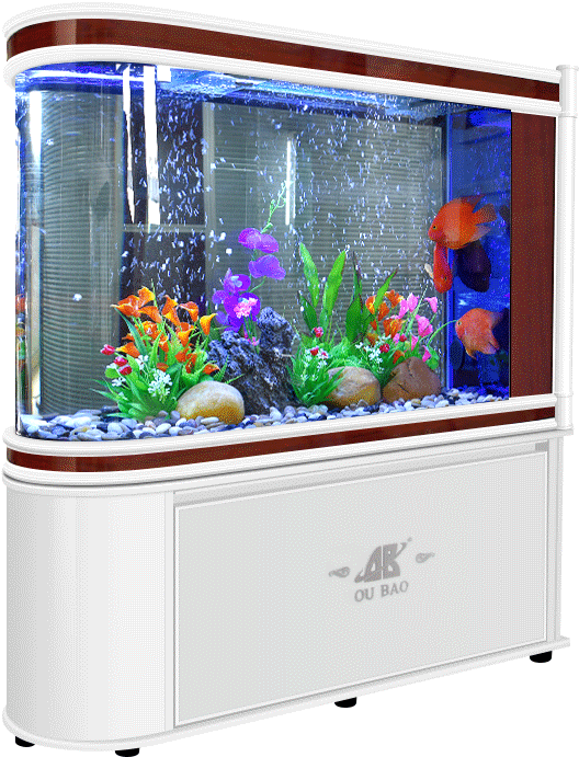 Vibrant Home Aquarium PNG