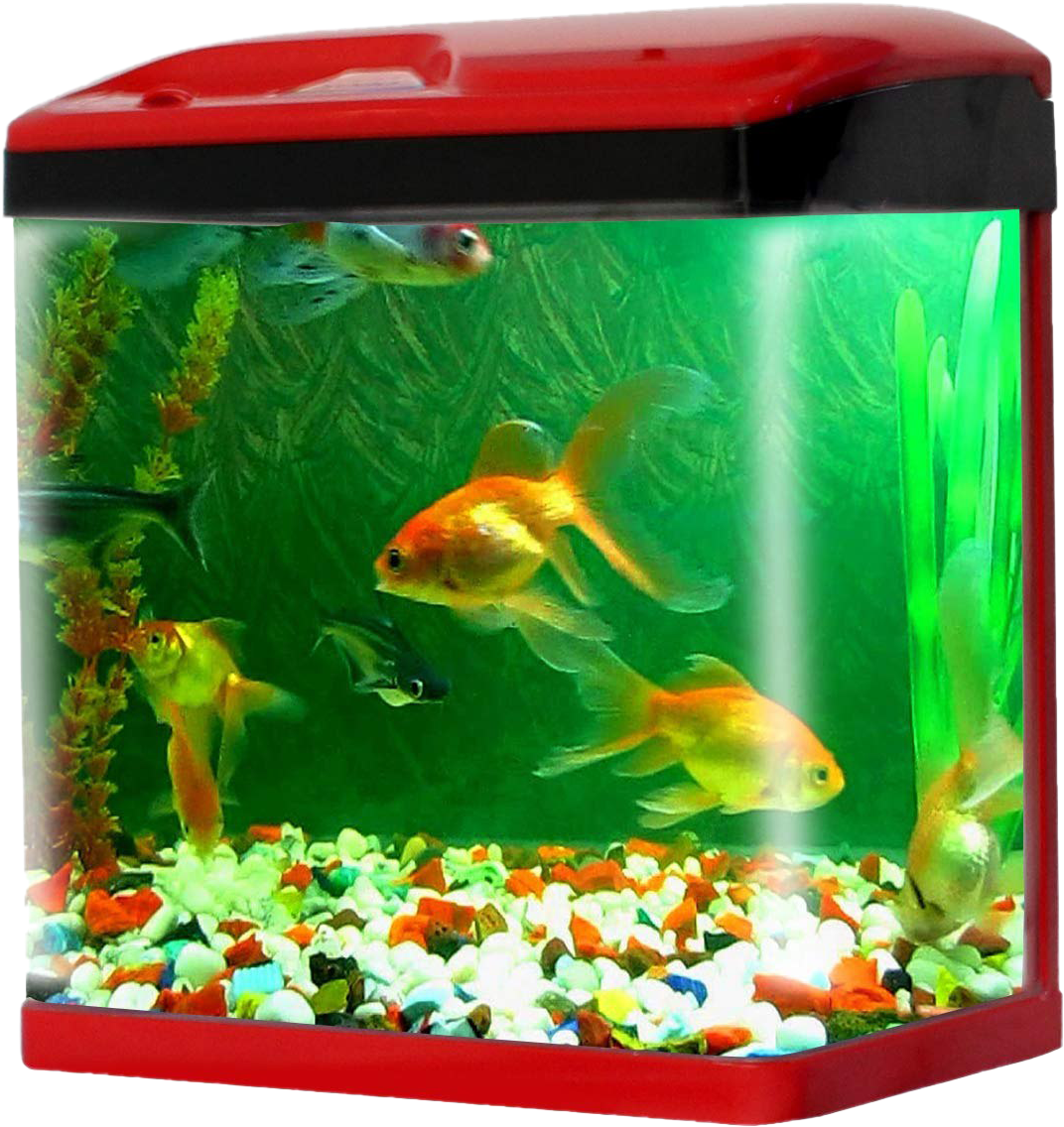 Vibrant Home Aquarium PNG