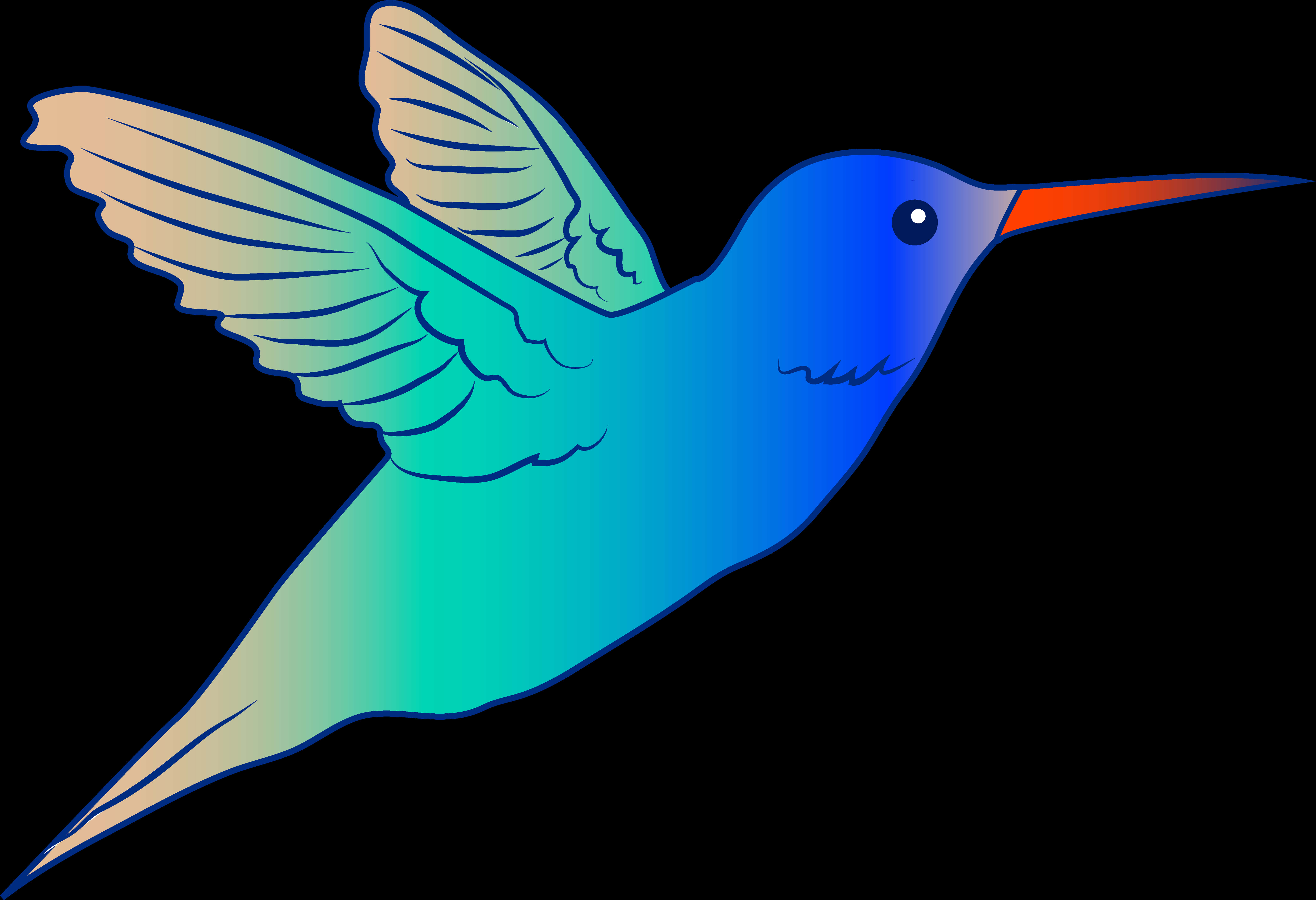 Vibrant Hummingbird Illustration PNG