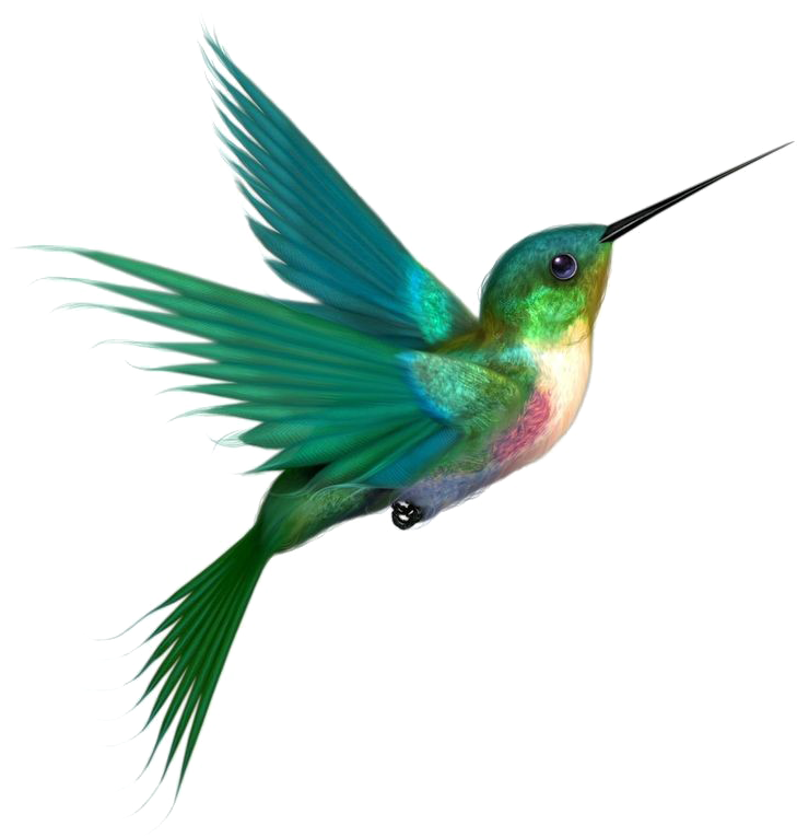 Vibrant Hummingbird In Flight PNG