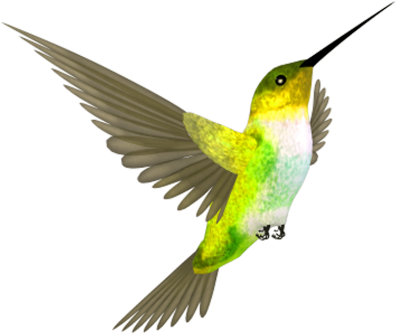 Vibrant Hummingbirdin Flight PNG