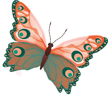 Vibrant_ Illustrated_ Butterfly PNG