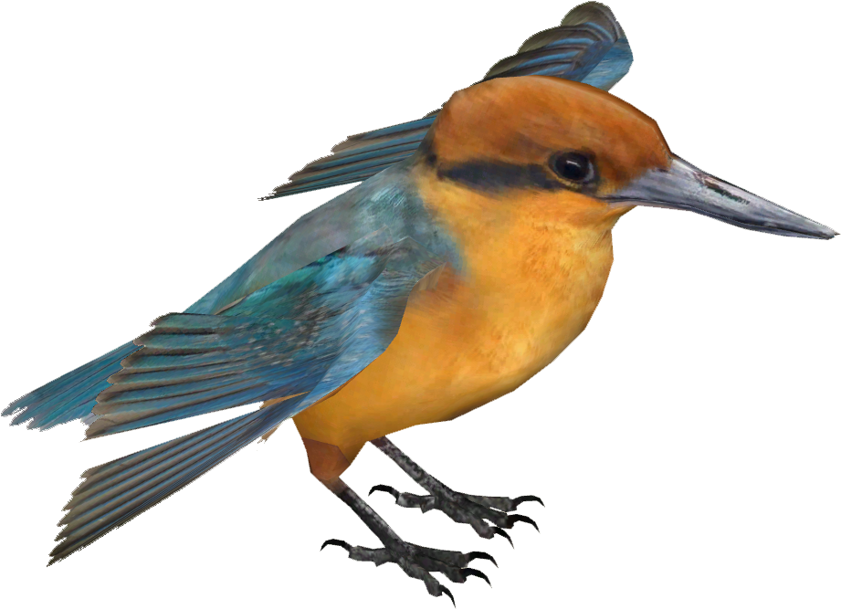 Vibrant Kingfisher Isolated PNG