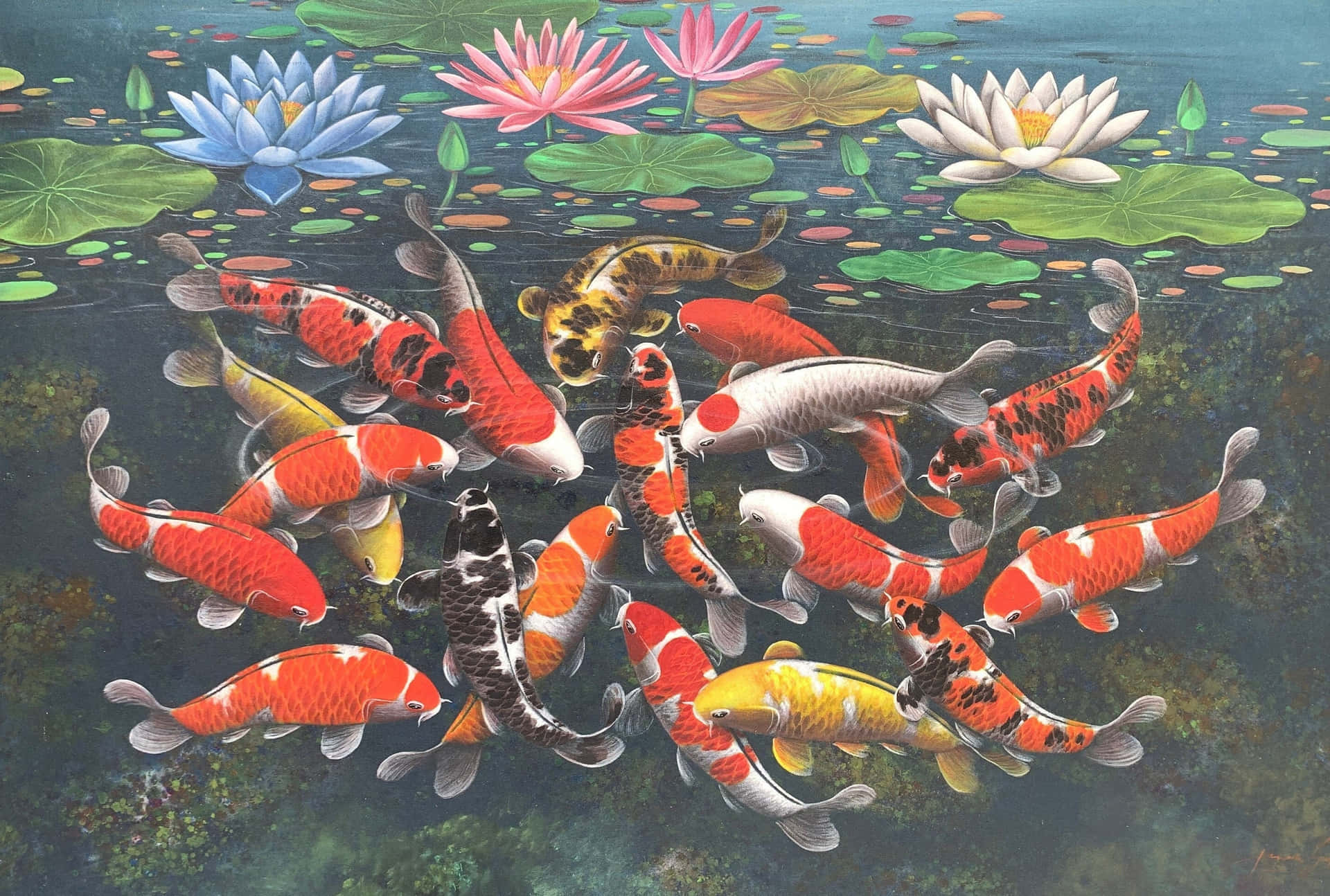 Vibrant Koi Fish Pond Art Wallpaper
