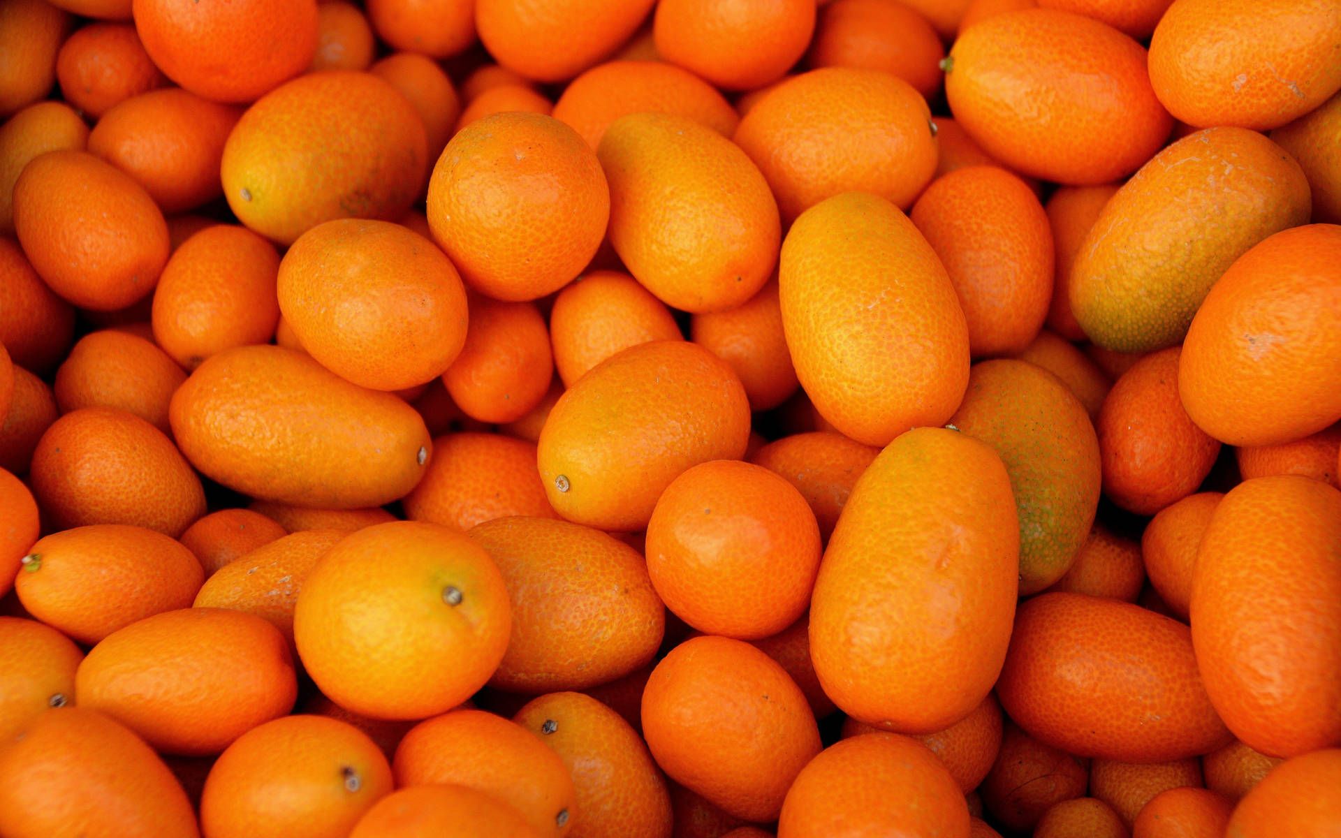 Vibrant Kumquat Fruits Close Up Shot Wallpaper