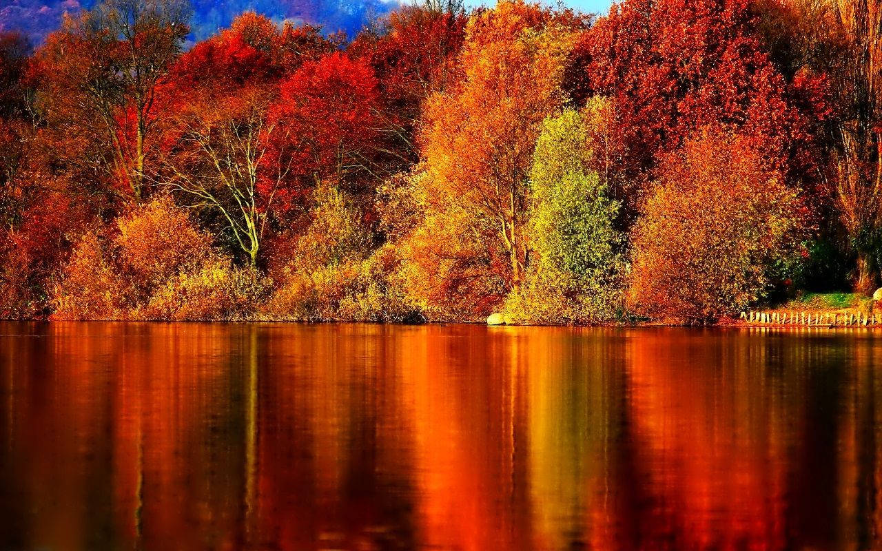 Vibrante Lake Fall Desktop Sfondo