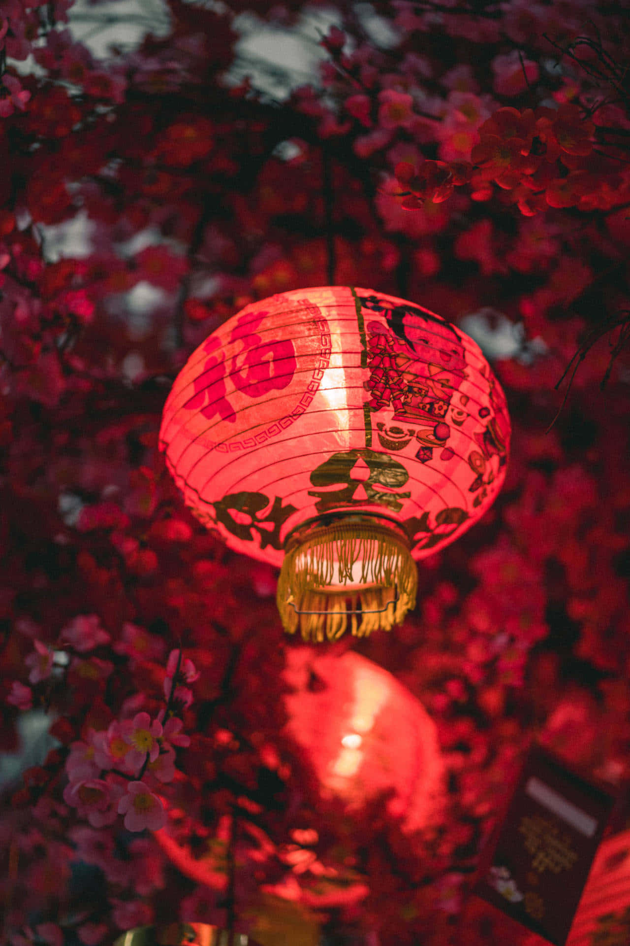 Vibrant Lanterns Illuminating The Ancient Street Of China