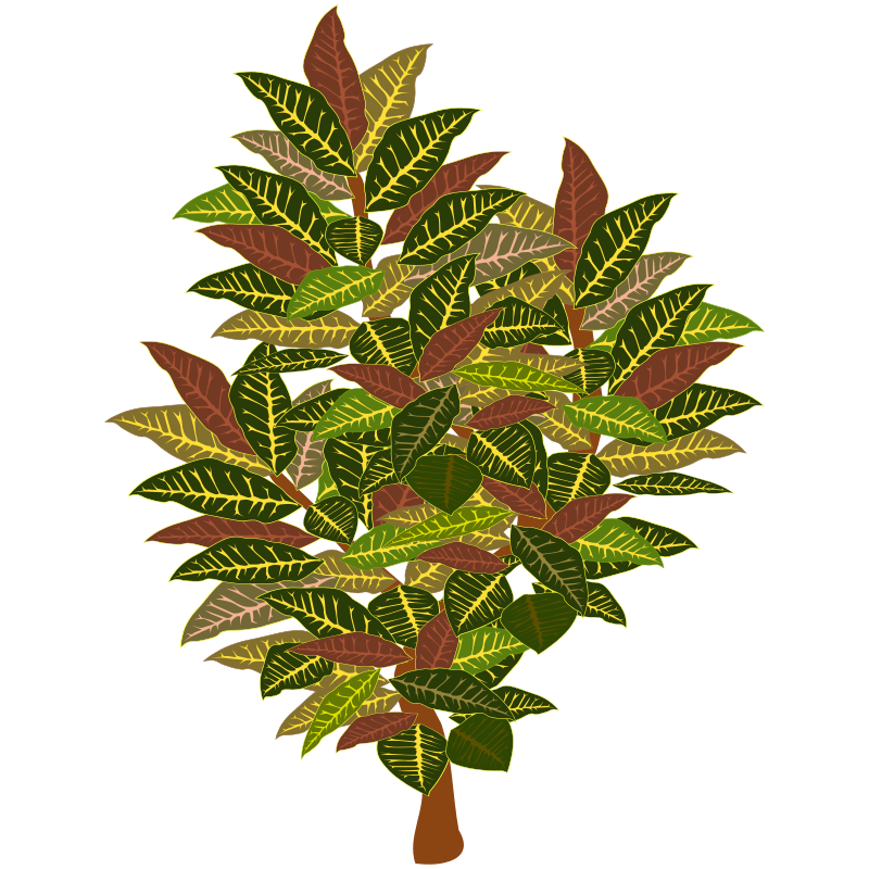 Vibrant Leaves Tree Illustration PNG