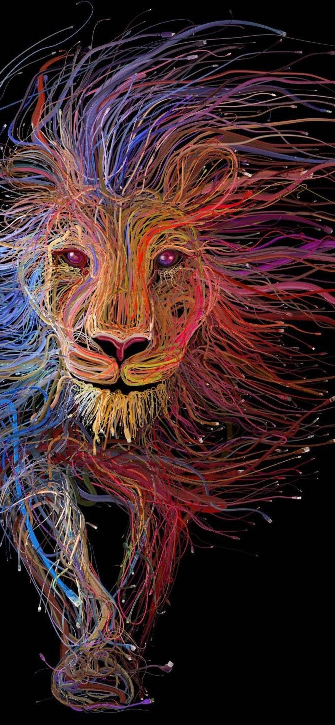 Vibrant Lines Lion Iphone Wallpaper
