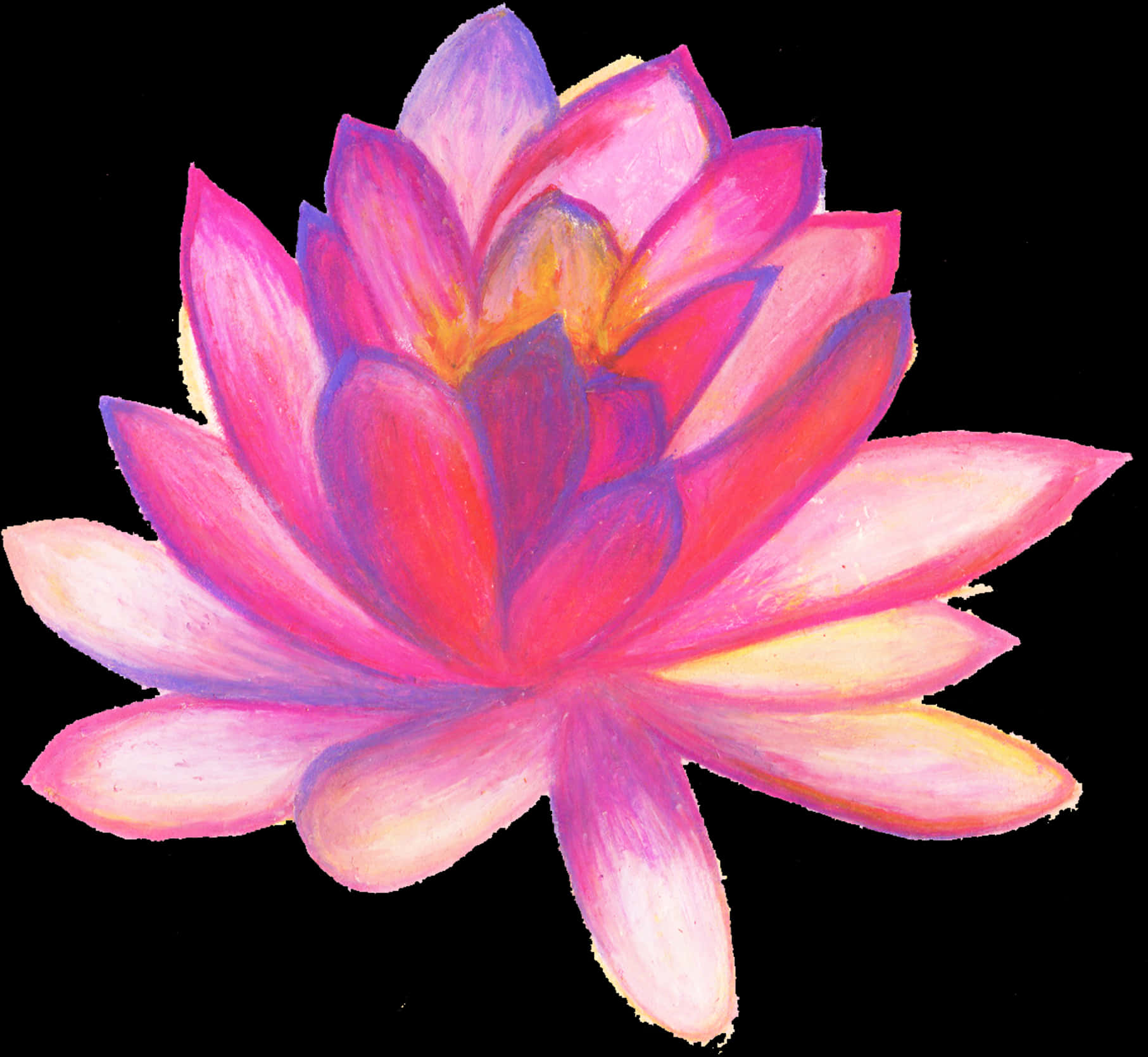 Vibrant Lotus Blossom Artwork PNG