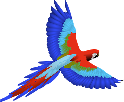 Vibrant_ Macaw_ In_ Flight PNG