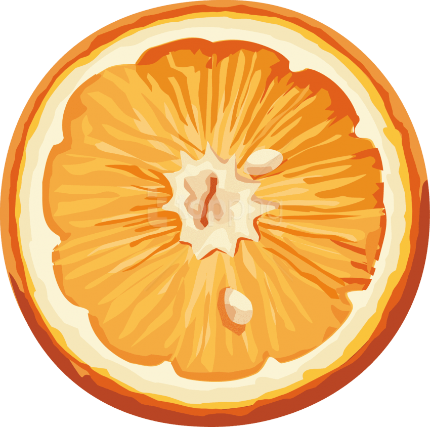 Vibrant Mandarin Slice Illustration PNG