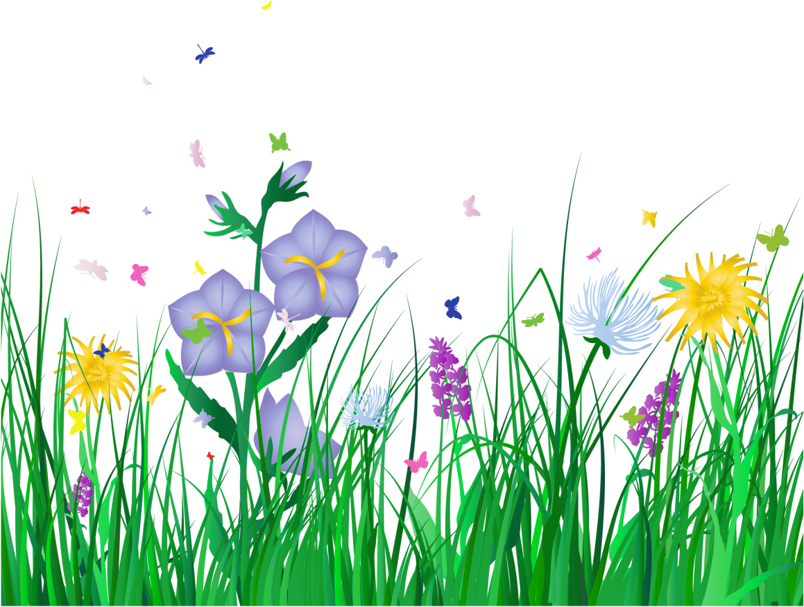 Vibrant Meadow Floral Scene PNG