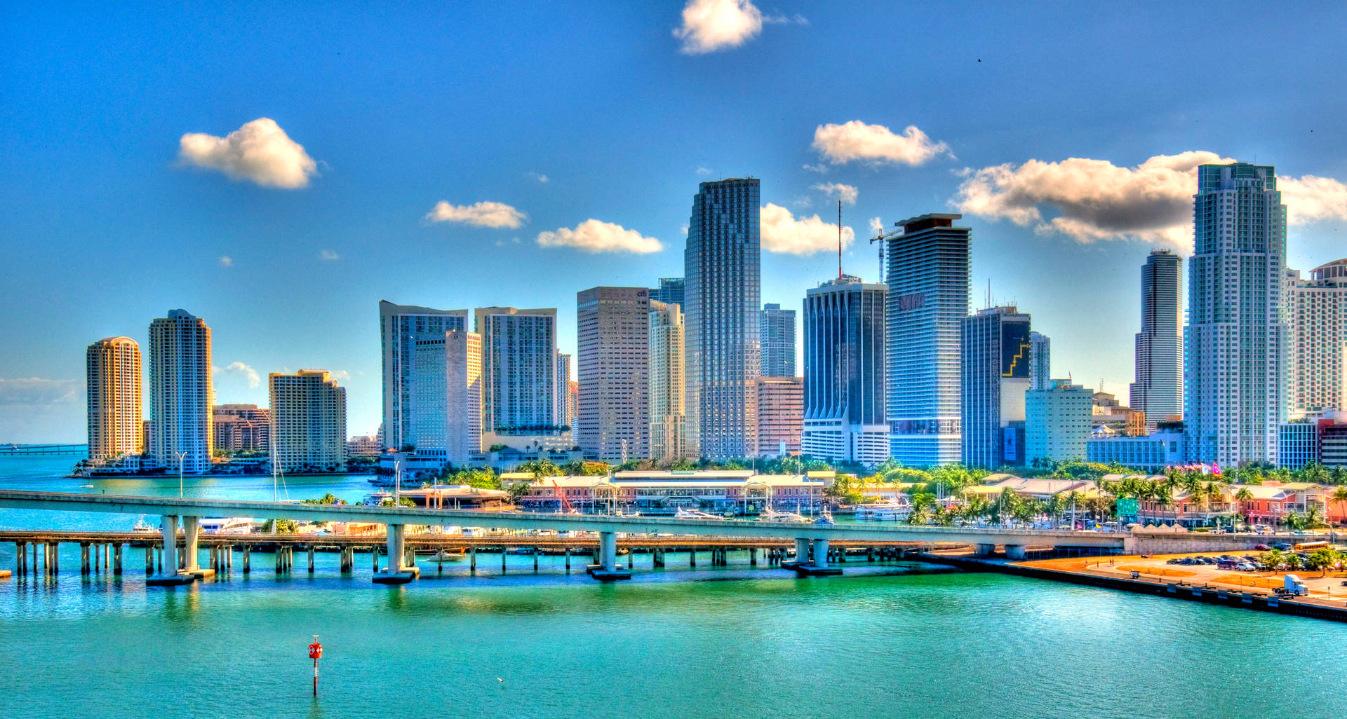 Vibrant Miami City