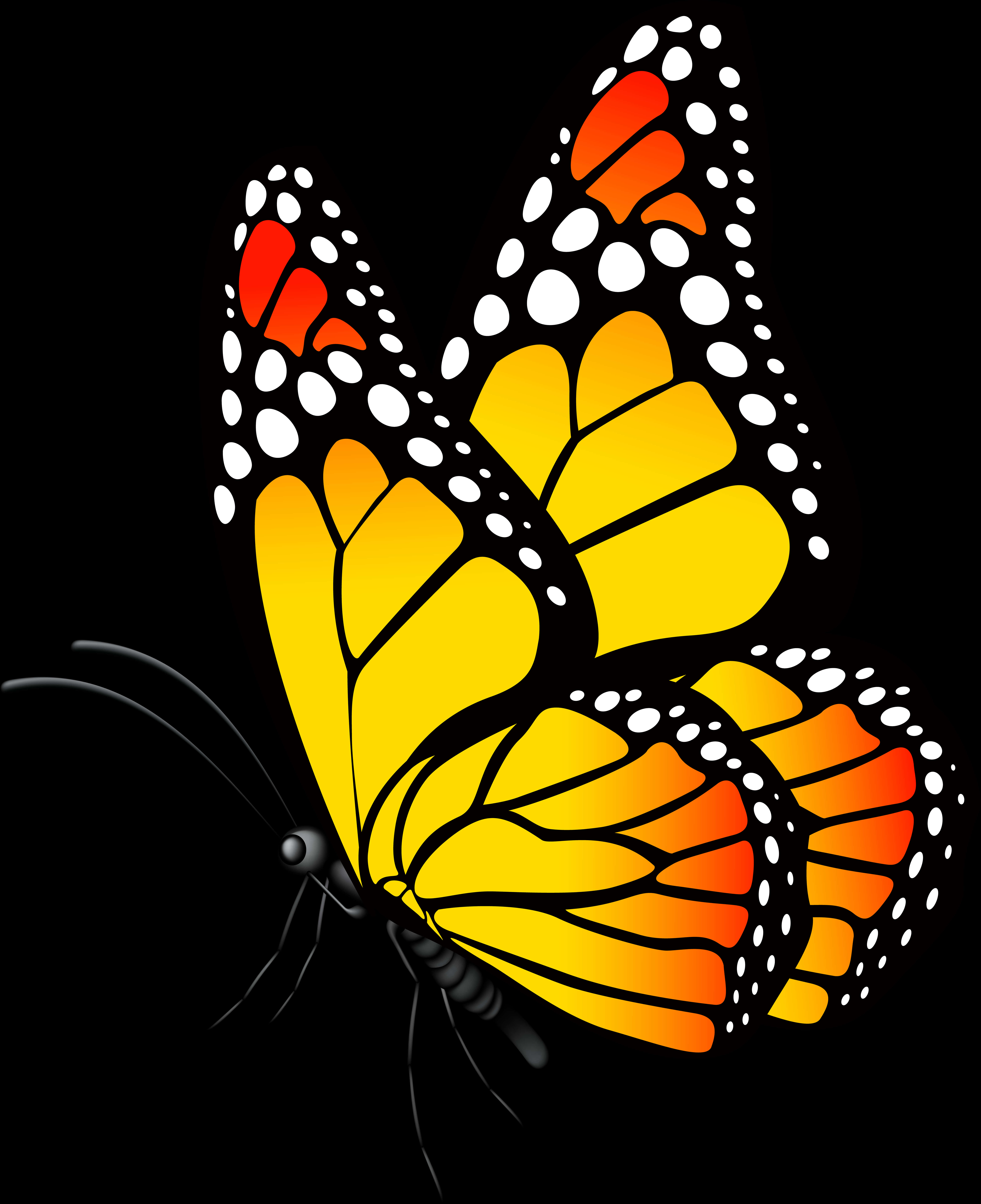 Vibrant Monarch Butterfly Illustration PNG