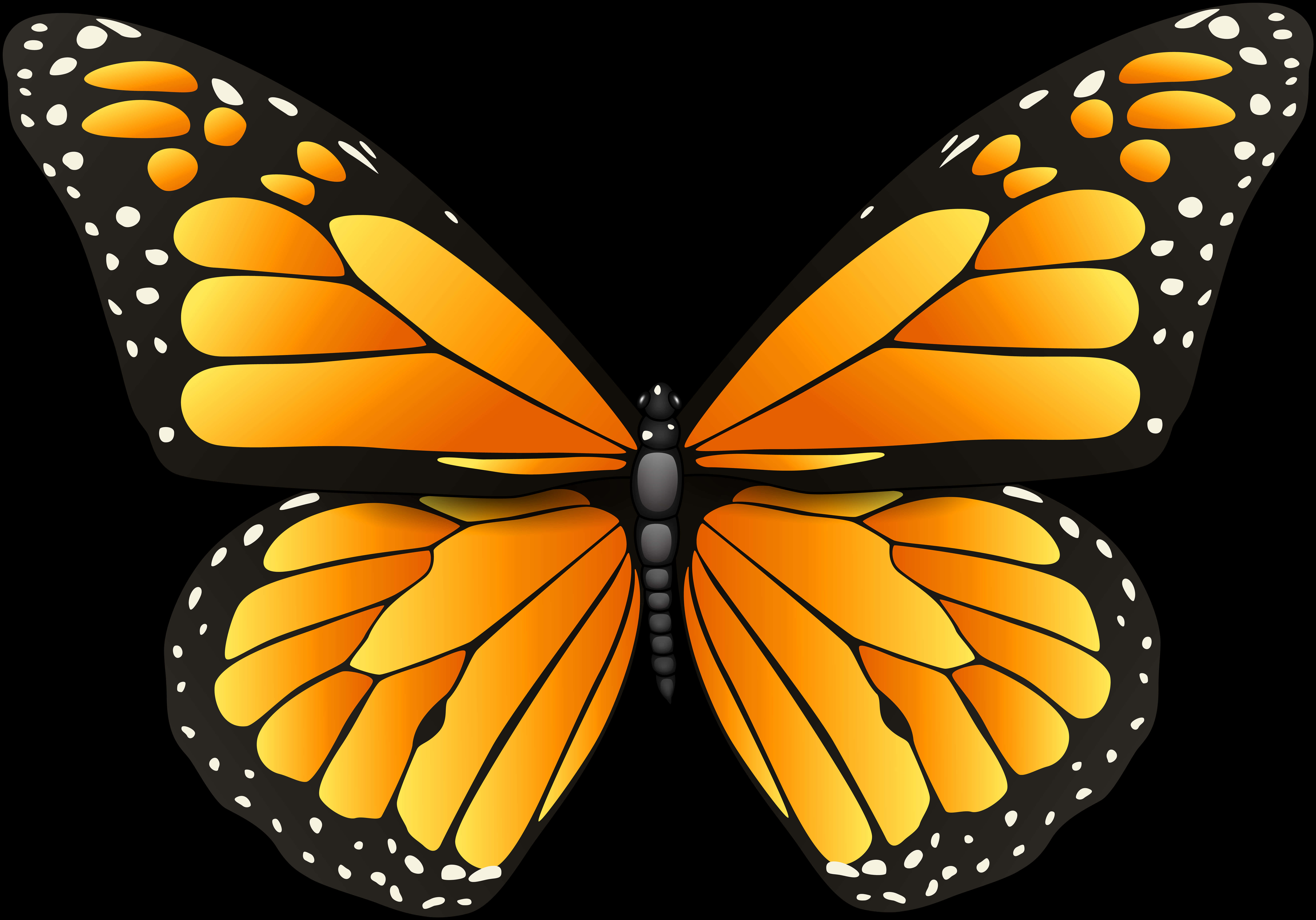 Vibrant Monarch Butterfly Illustration PNG
