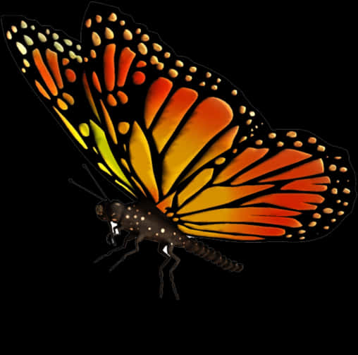 Vibrant Monarch Butterfly Isolated PNG