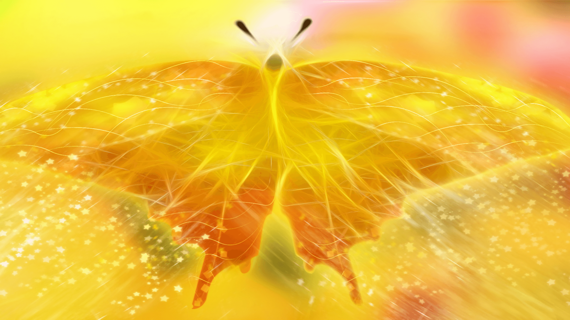 Vibrant Monarch Butterfly On Yellow Flower Wallpaper