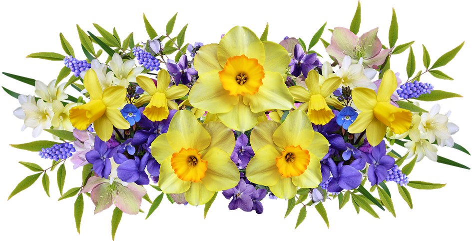 Vibrant Narcissus Floral Arrangement PNG