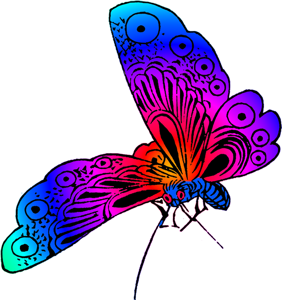 Vibrant Neon Butterfly Art PNG