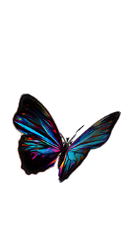Vibrant Neon Butterflyon Black PNG