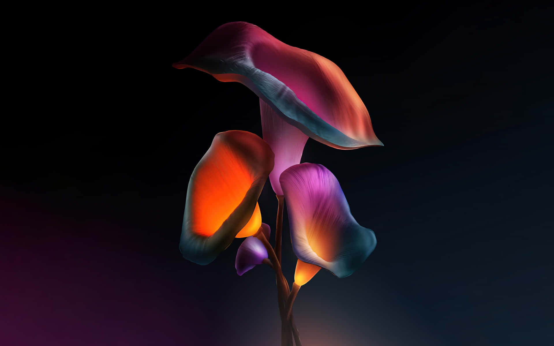 Vibrant Neon Calla Lilies4 K Wallpaper