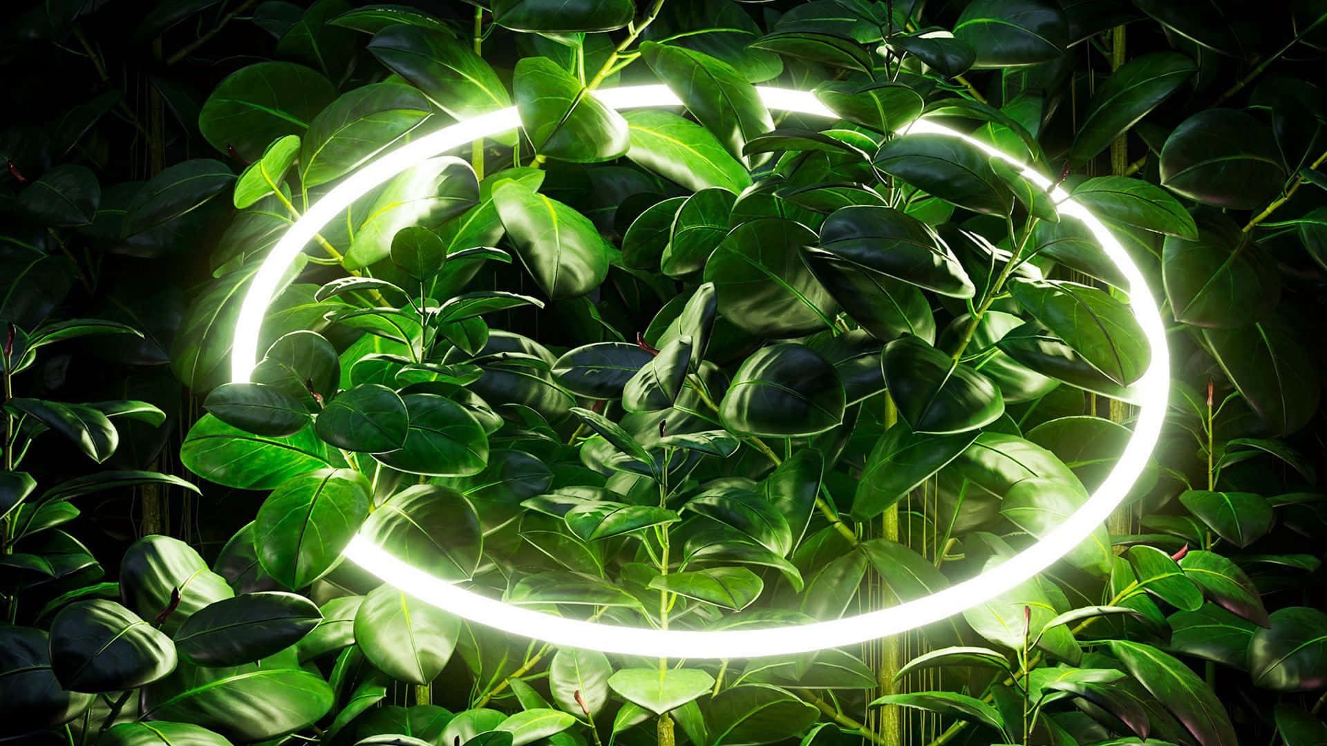 Vibrant Neon Plants Bringing Life To Night Wallpaper