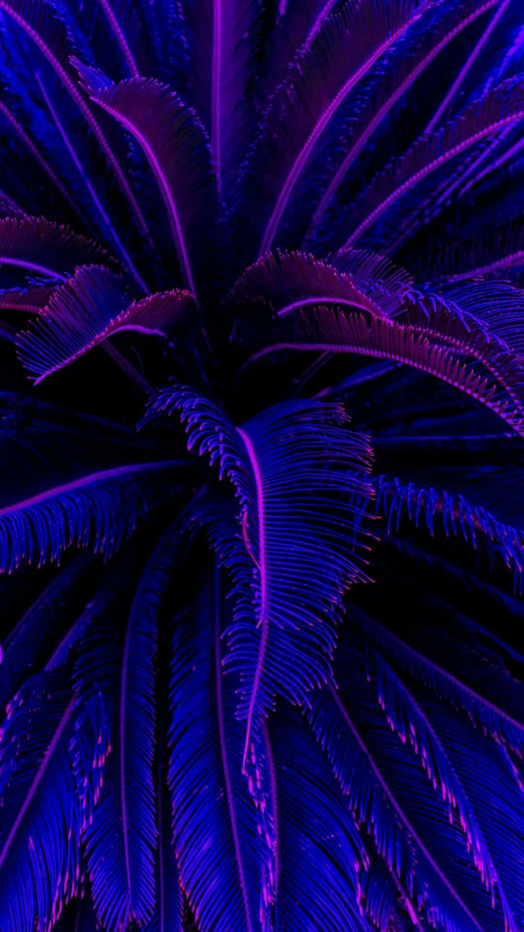 Vibrant Neon Plants Illuminating The Darkness Wallpaper