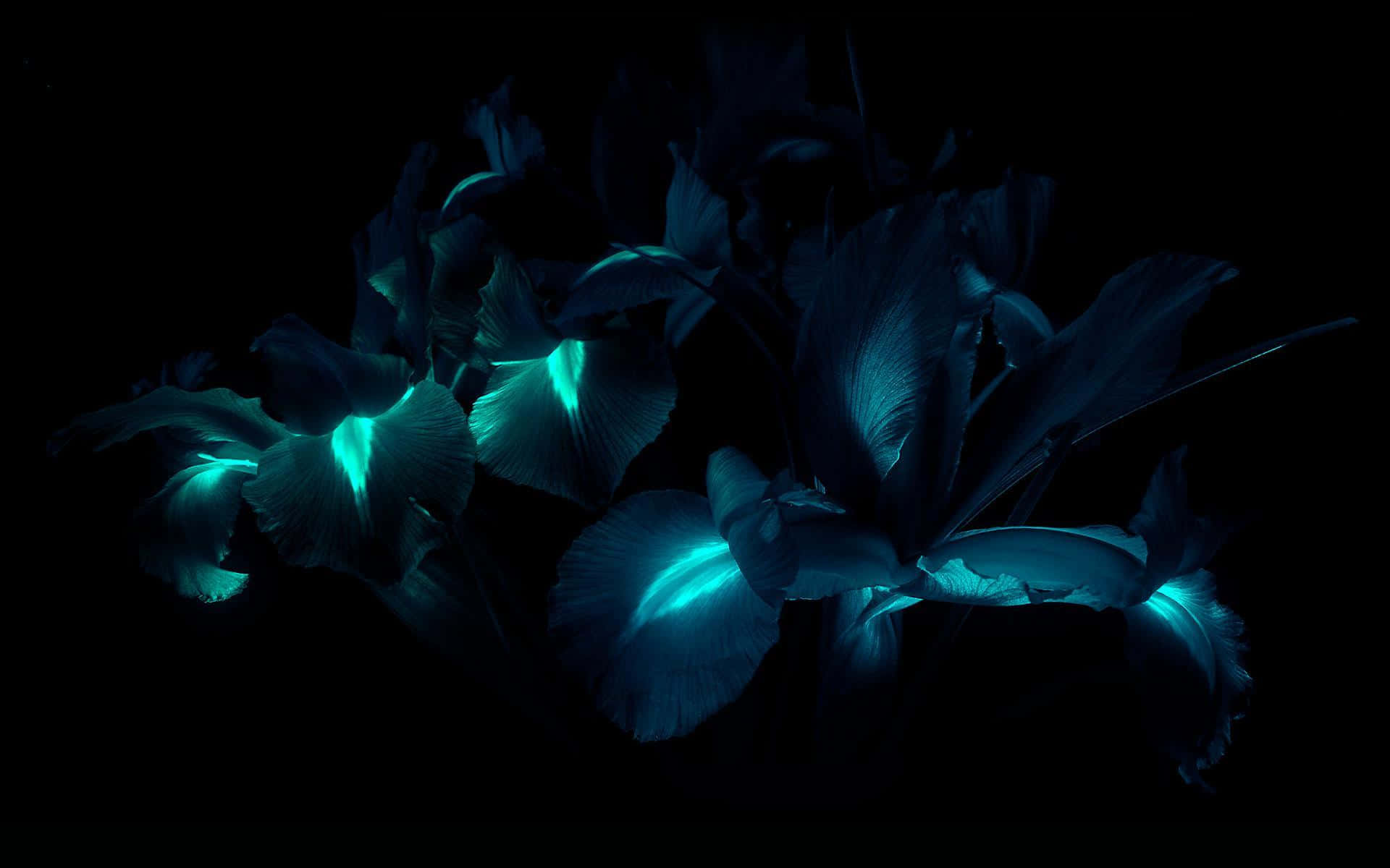 Vibrant Neon Plants In A Visual Spectacle Wallpaper