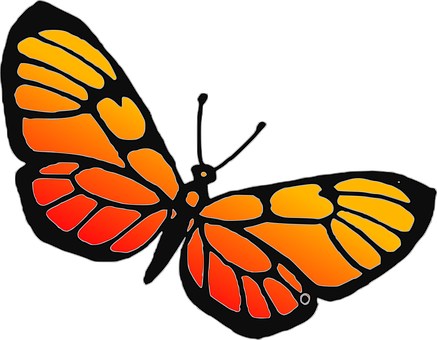 Vibrant Orange Butterfly Graphic PNG