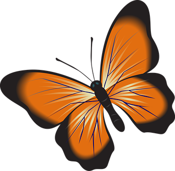 Vibrant Orange Butterfly Vector PNG