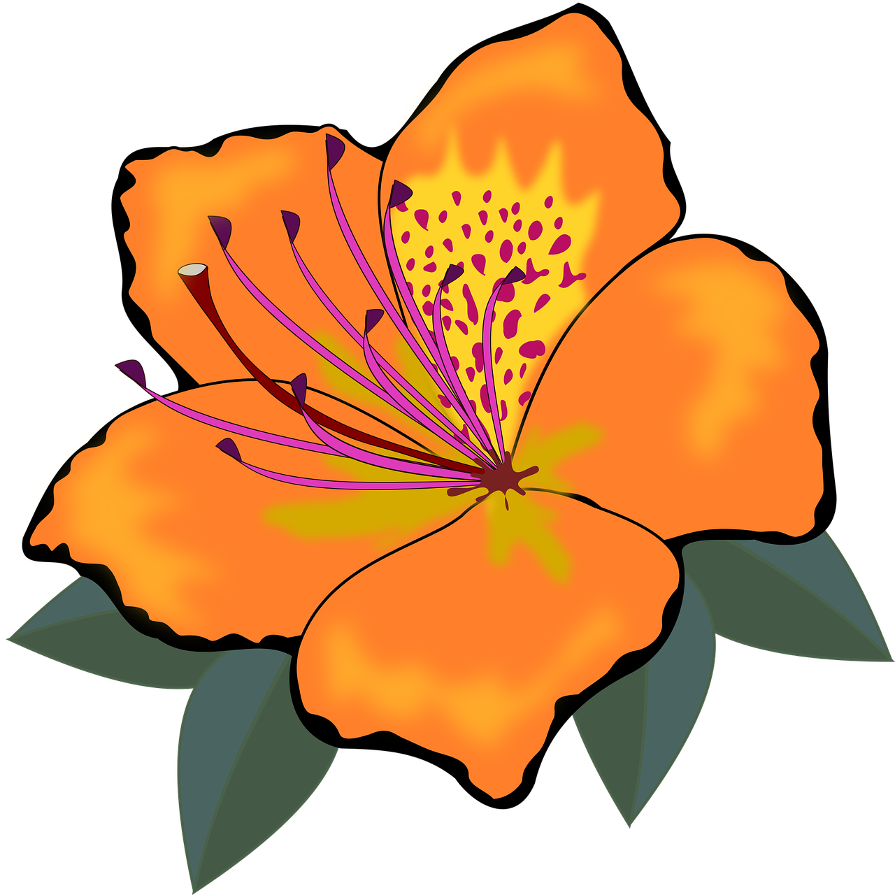 Vibrant Orange Flower Clipart PNG