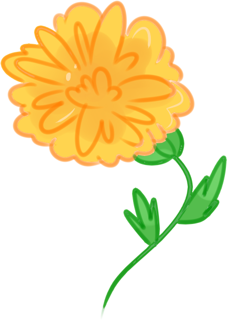 Vibrant Orange Flower Illustration PNG