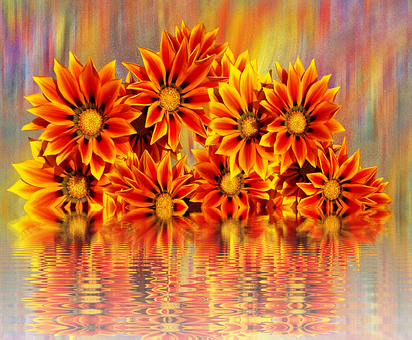 Vibrant Orange Flowers Reflection PNG