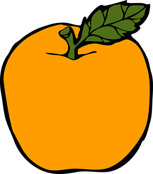 Vibrant Orange Fruit Illustration PNG