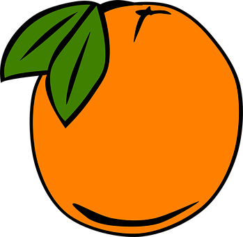 Vibrant Orange Fruit Illustration PNG