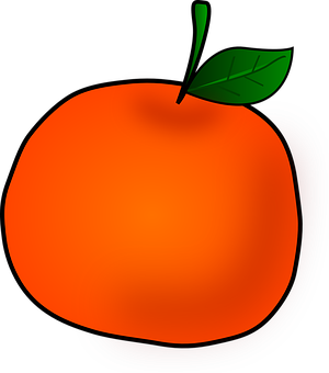 Vibrant Orange Fruit Illustration PNG