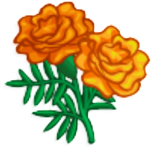 Vibrant Orange Marigolds Illustration PNG